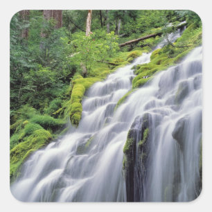 Pegatina Cuadrada EE. UU., Oregón, Proxy Falls. Proxy Falls se preci