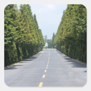 Pegatina Cuadrada EE.UU., Parque nacional Yellowstone, carretera en 