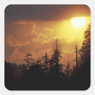 Pegatina Cuadrada EE.UU., Tennessee, Great Smoky Mountains NP 2