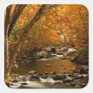 Pegatina Cuadrada EE. UU., Tennessee. Rushing Mountain Creek 3