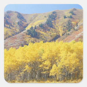 Pegatina Cuadrada EE. UU., Utah, Bosque Nacional Wasatch-Cache,
