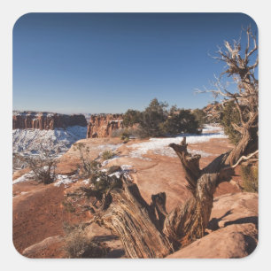Pegatina Cuadrada EE. UU., Utah, Moab. Parque Nacional Canyonlands,