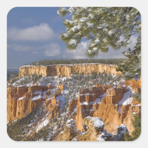 Pegatina Cuadrada EE. UU., Utah, Parque Nacional Bryce Canyon. Amane