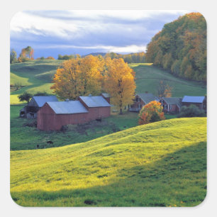 Pegatina Cuadrada EE. UU., Vermont, granja Jenne. Colinas verdes ond