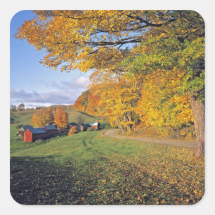 Pegatina Cuadrada EE. UU., Vermont, granja Jenne. El otoño llega a J
