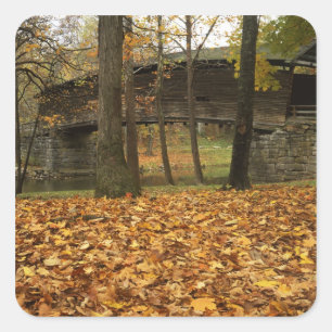 Pegatina Cuadrada EE.UU., Virginia, Covington, Humpback Covered