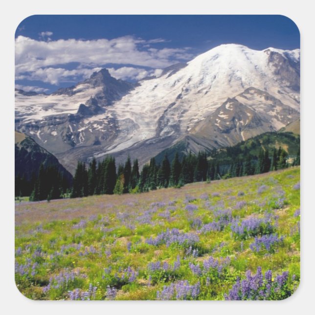 Pegatina Cuadrada EE. UU., Washington, Parque Nacional Mt. Rainier. (Anverso)