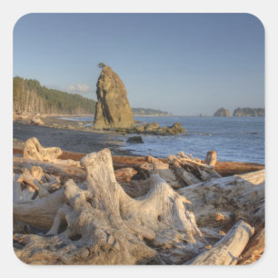 Pegatina Cuadrada EE. UU., Washington, Parque Nacional Olímpico, Ria