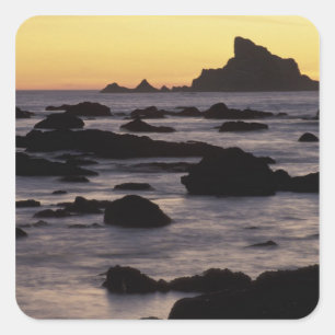 Pegatina Cuadrada EE. UU., Washington, Parque Nacional Olímpico, Sea