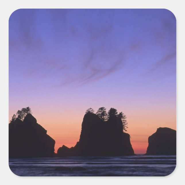 Pegatina Cuadrada EE. UU., Washington, Parque Nacional Olímpico, Shi (Anverso)