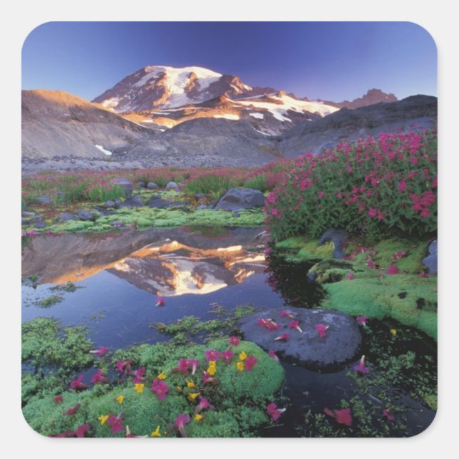 Pegatina Cuadrada EE. UU., Washington, PN Mt. Rainier, amanecer, (Anverso)