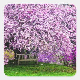 Pegatina Cuadrada EEUU, Delaware, Wilmington. Banco de madera bajo