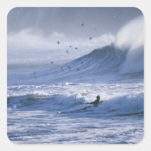 Pegatina Cuadrada EEUU, Estado de Washington, La Push. Man kayak