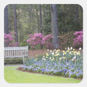 Pegatina Cuadrada EEUU, Georgia, Montaña Pina. Una frontera de