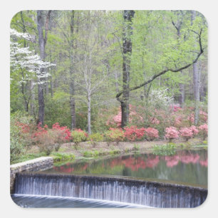 Pegatina Cuadrada EEUU, Georgia, Montaña Pina. Una pequeña cascada