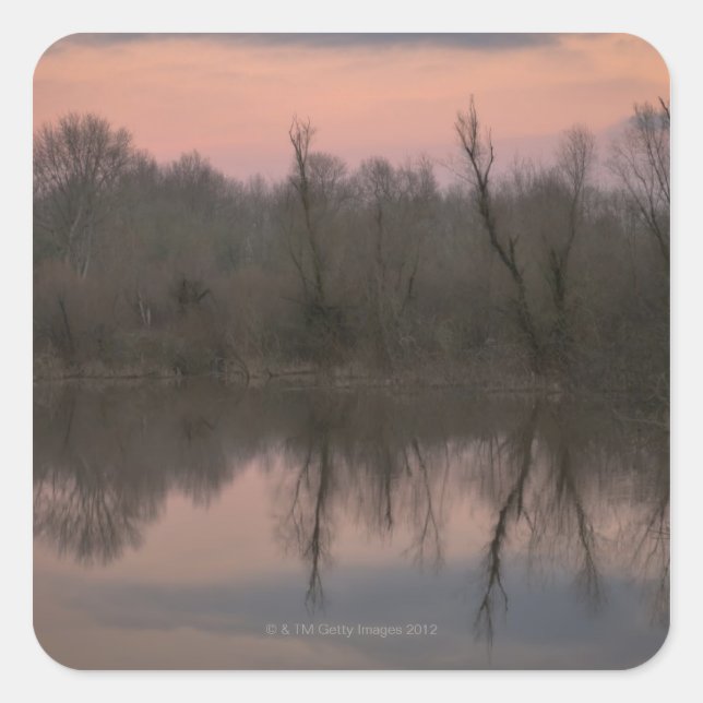 Pegatina Cuadrada EEUU, Oregón, árboles desnudos reflejando en el la (Anverso)