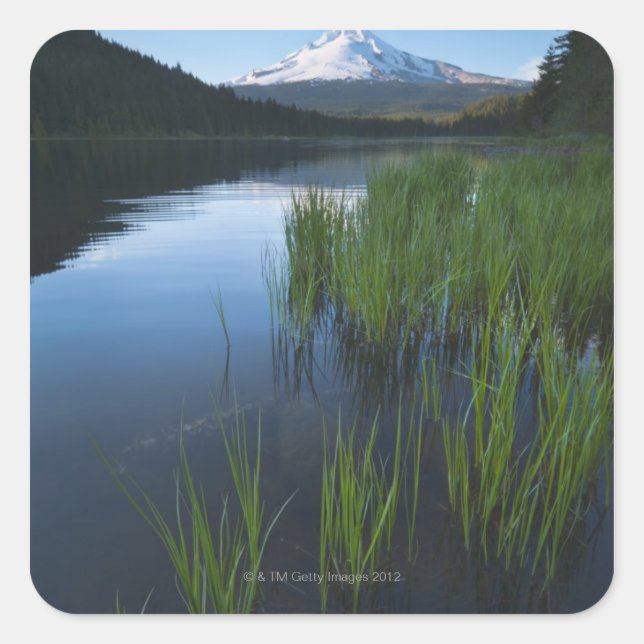 Pegatina Cuadrada EEUU, Oregón, Condado de Clackamas, Vista del Tril (Anverso)