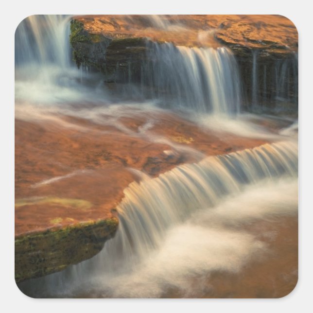 Pegatina Cuadrada EEUU, Utah, Parque Nacional Zion. Escena de 2 (Anverso)