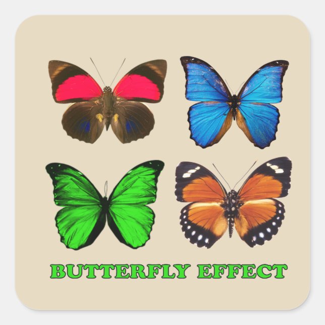 Pegatina Cuadrada Efecto mariposa (Anverso)