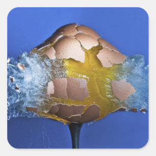 Pegatina Cuadrada Eggceptional