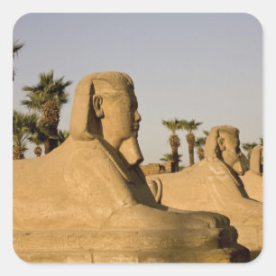 Pegatina Cuadrada Egipto, Luxor. La avenida de las esfinges lleva a