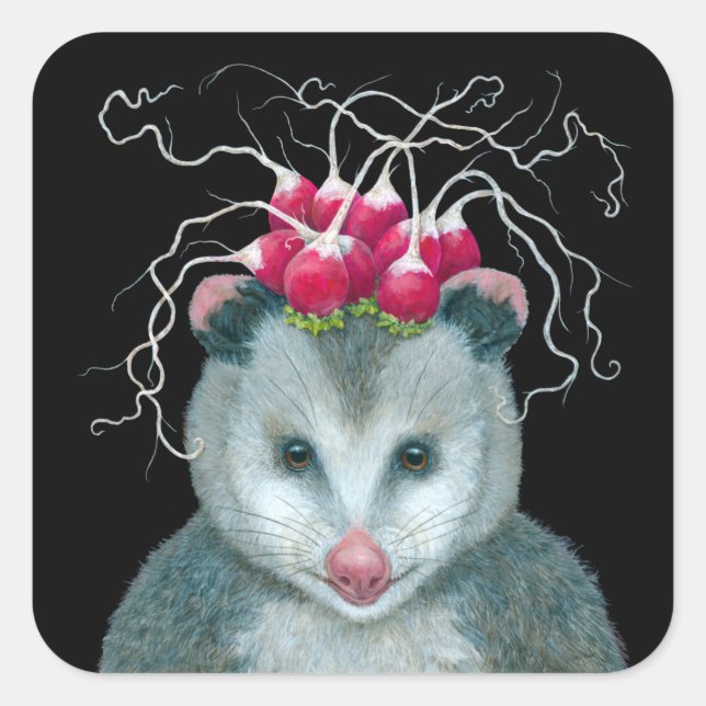 Pegatina Cuadrada Einstein, los pegatinas del opossum (Anverso)
