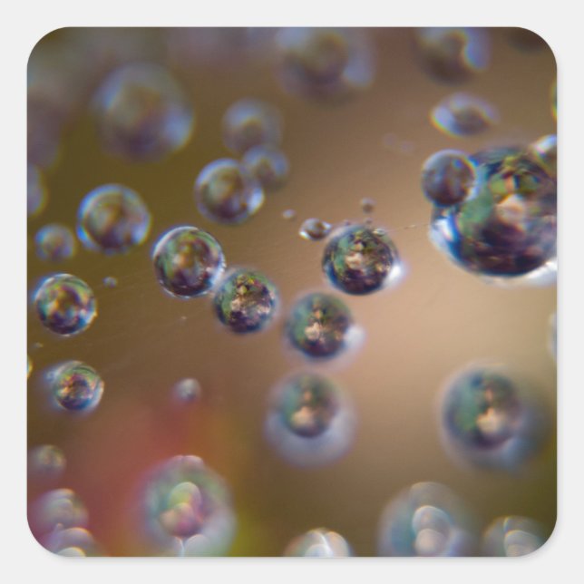 Pegatina Cuadrada El agua en movimiento (Anverso)