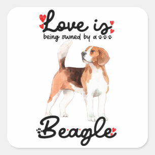 Pegatina Cuadrada El Amor Es Propiedad De Un Beagle