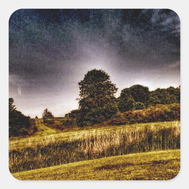 Pegatina Cuadrada El asombroso parque (Anverso)