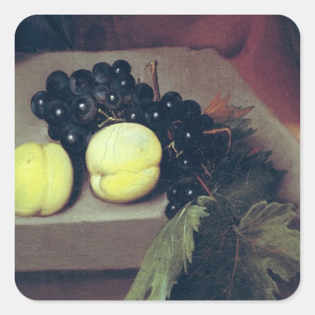 Pegatina Cuadrada El baco enfermo (Anverso)