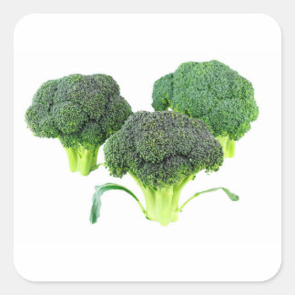 Pegatina Cuadrada El brócoli verde crece en blanco