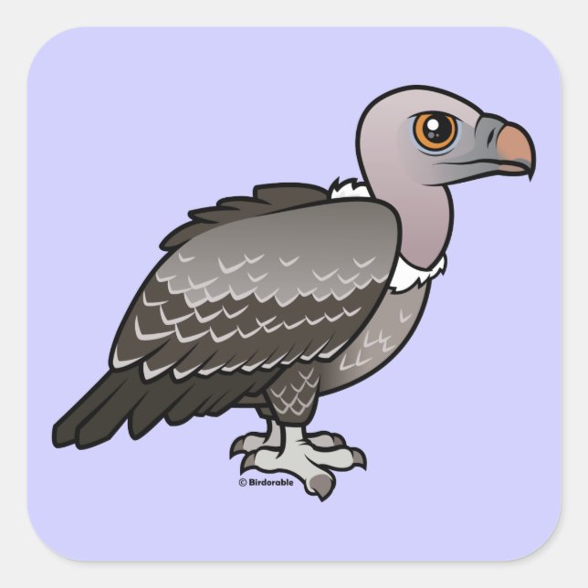 Pegatina Cuadrada El buitre de Rueppell (Anverso)