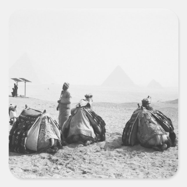 Pegatina Cuadrada El Cairo Egipto, jinetes de camellos giza pirámide (Anverso)