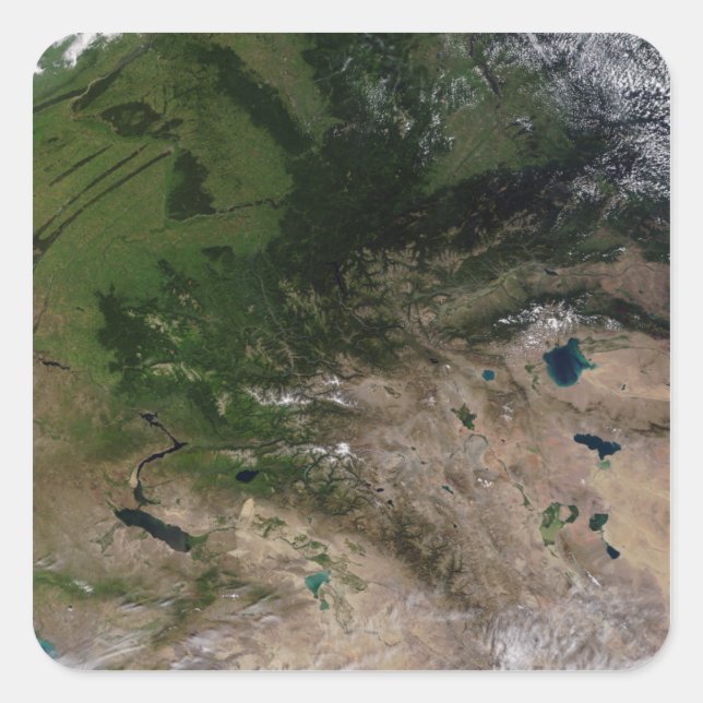 Pegatina Cuadrada El cambio de vegetación (Anverso)