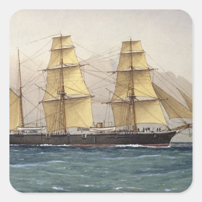 Pegatina Cuadrada El cisne salvaje, 1906 (Anverso)