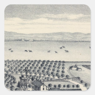 Pegatina Cuadrada El condado de Fresno, California 20