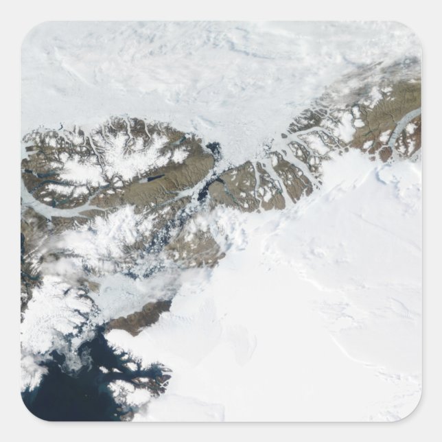 Pegatina Cuadrada El deshielo del verano (Anverso)