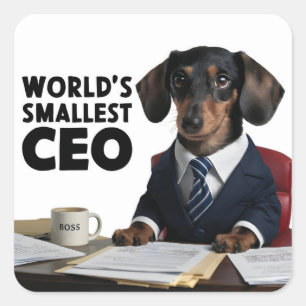 Pegatina Cuadrada El director ejecutivo más pequeño del mundo, lindo