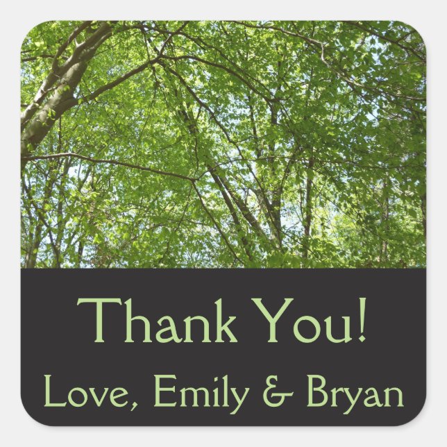 Pegatina Cuadrada El dosel de la primavera deja la naturaleza verde (Anverso)