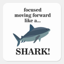 El Enfoque Del Tiburón Avanza Como Un Tiburón