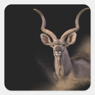 Pegatina Cuadrada El espíritu del Kudu