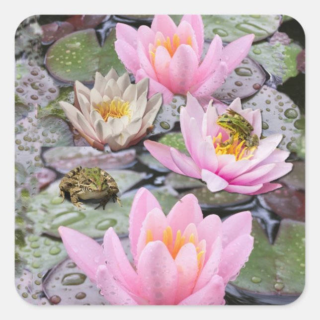 Pegatina Cuadrada El estanque acuático (Anverso)