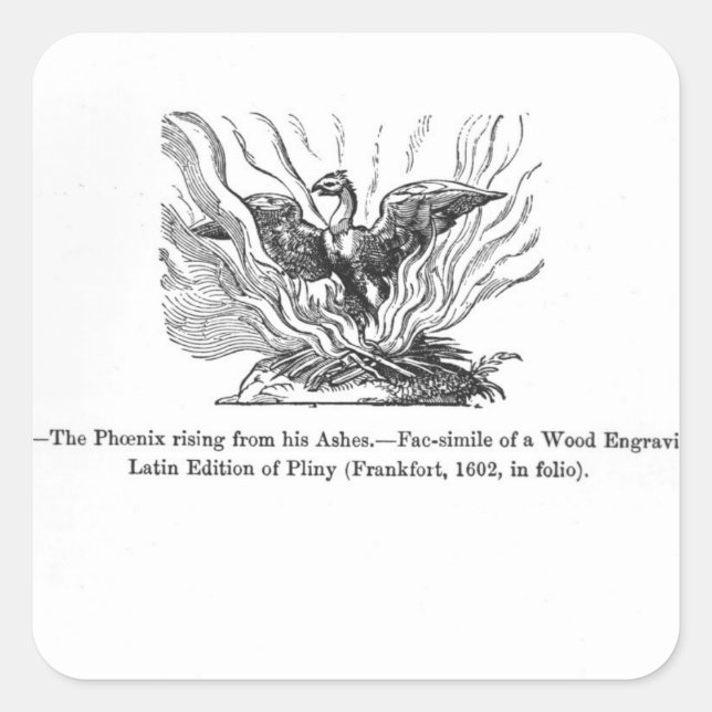 Pegatina Cuadrada El Fénix levantándose de sus cenizas (Anverso)