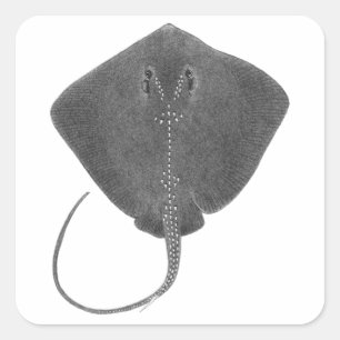 PEGATINA CUADRADA EL GRAN SUR