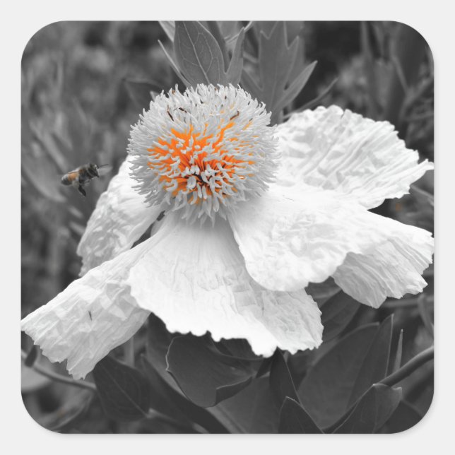 Pegatina Cuadrada El incendio en el interior (Anverso)