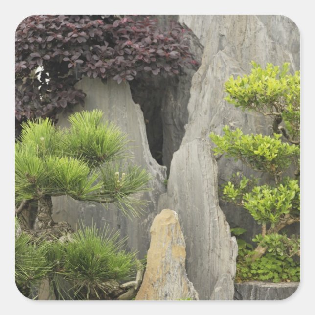 Pegatina Cuadrada El jardín familiar de Bao, Huangshan, China. 2 (Anverso)