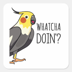 Pegatina Cuadrada El loro Doin de Whatcha te está vigilando