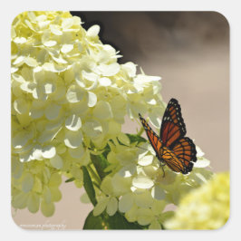 Pegatina Cuadrada El monarca y las flores