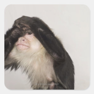 Pegatina Cuadrada El mono cubriendo sus ojos