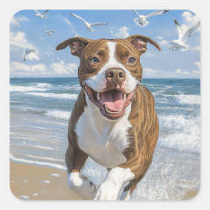 Pegatina Cuadrada El norteamericano Pit Bull Terrier en la playa